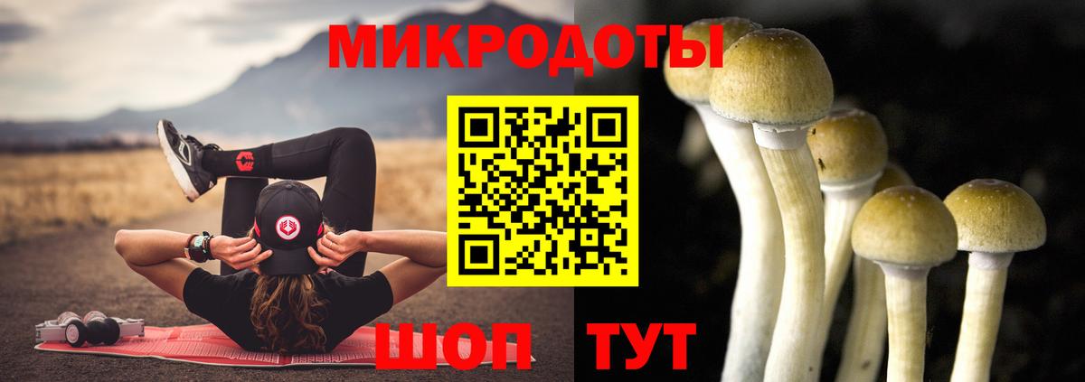Псилоцибиновые грибы мухоморы Пугачёв